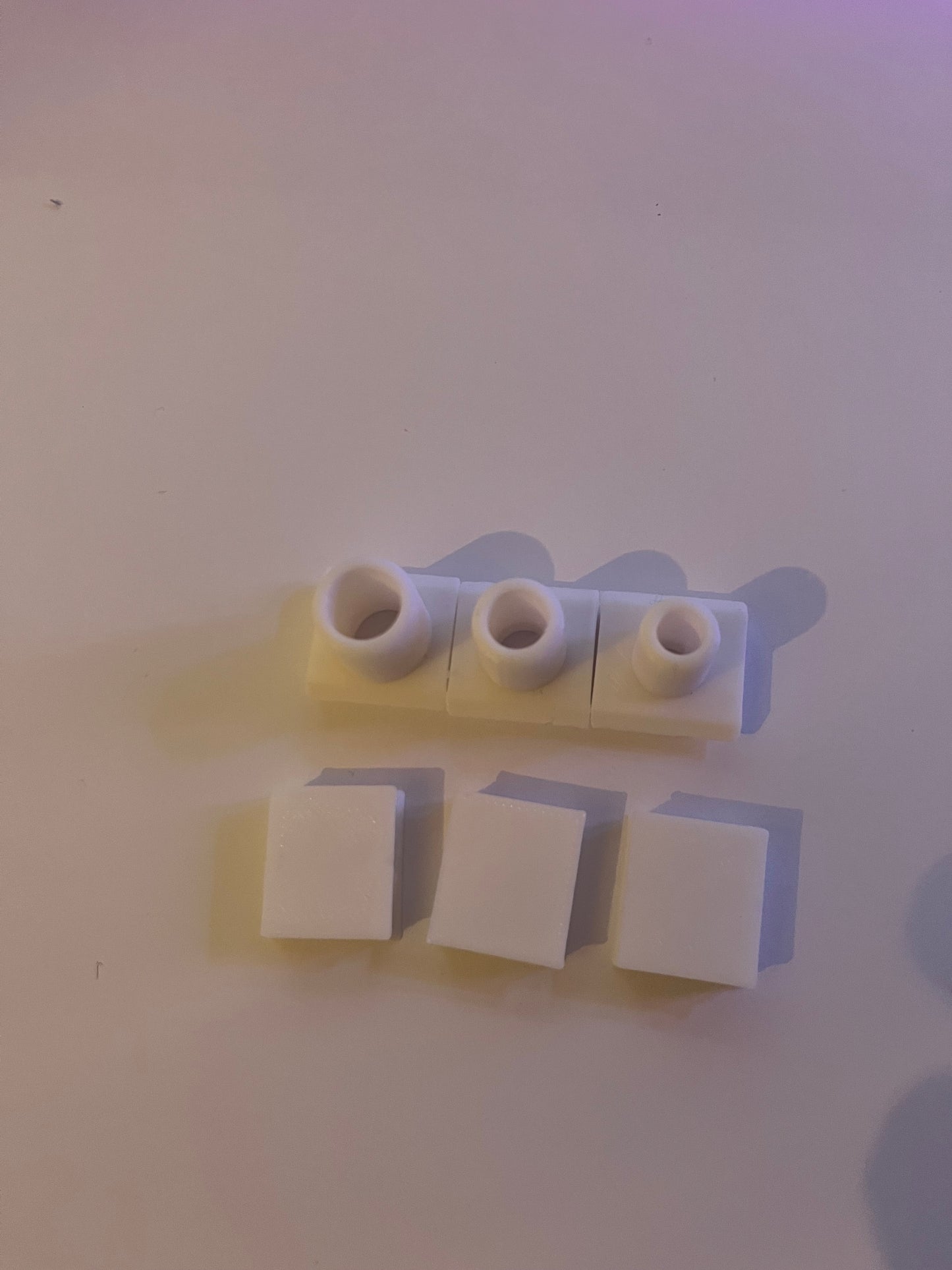 Ameisen Nester Typ "Messor"